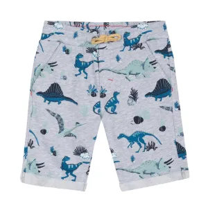 Boys Dino Shorts