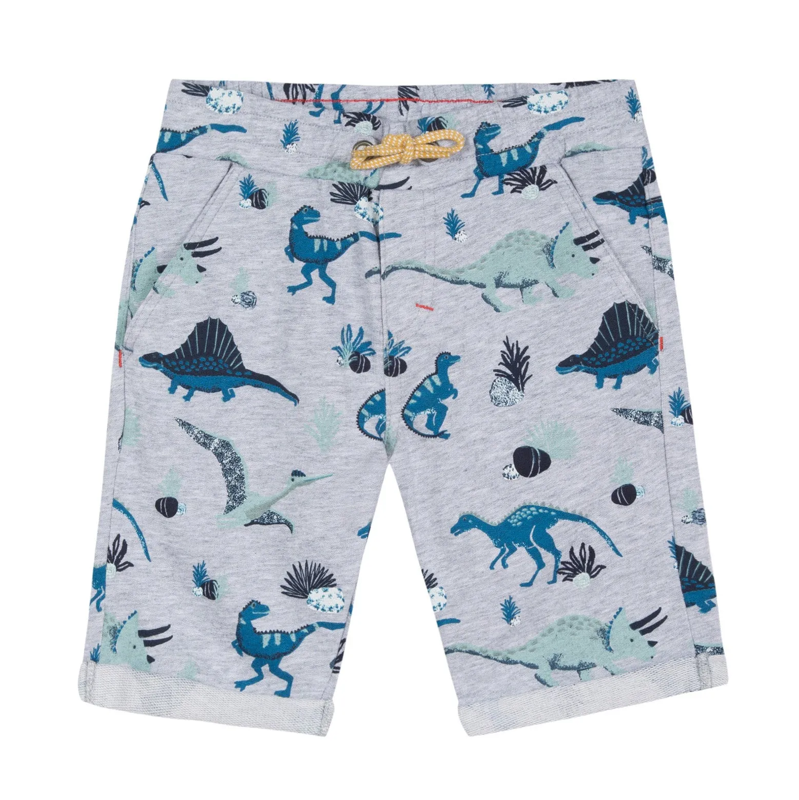 Boys Dino Shorts