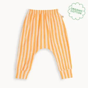Coast - Orange Stripe Hareem Pant