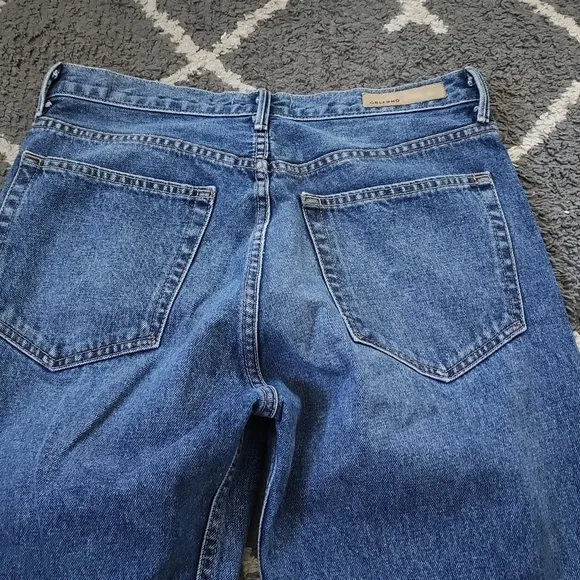 GRLFRND Karolina High Rise Skinny Jeans size 29