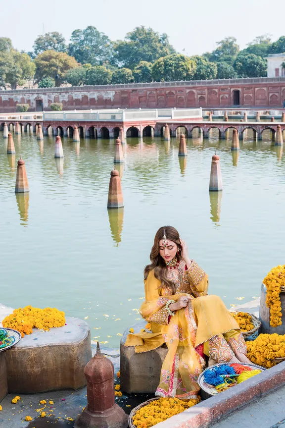 Pakistani Wedding Dress in Frock and Trouser Style