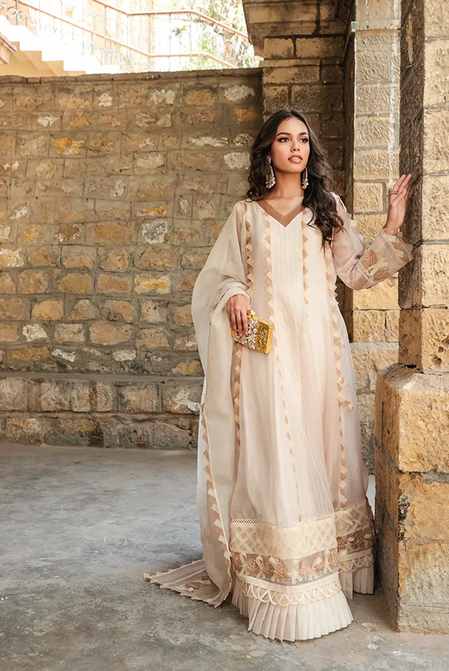 Pakistani Wedding Dress in Kalidar Frock Trouser Style
