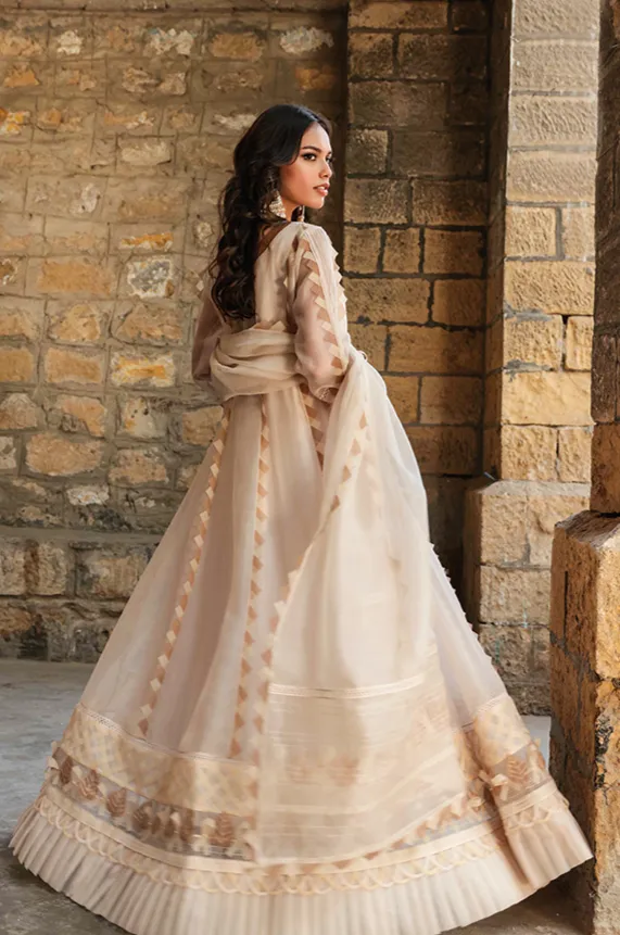 Pakistani Wedding Dress in Kalidar Frock Trouser Style