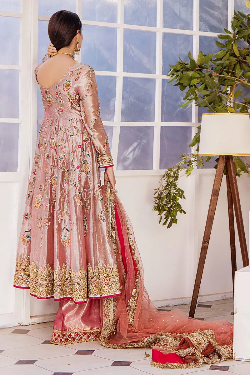 Pishwas Frock and Trouser Pink Pakistani Wedding Dress